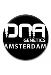 Semillas Dna Genetics ® | Feminizadas ✓ +100 variedades