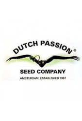 Comprar Dutch Passion Baratas Feminiadas ®