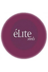 ¿Quieres Semillas Elite Seeds Feminizadas? | Compra DISCRETA ⊛
