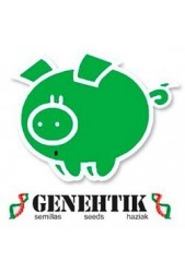 Genehtik Seeds ® | Banco de Semillas Cannabicas ◁ Envío Seguro