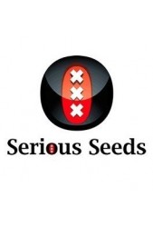 Semillas CBD medicinales Serious Seeds ¡Las que estabas esperando!