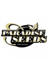 Comprar Semillas de Paradise Seeds Feminizadas Baratas