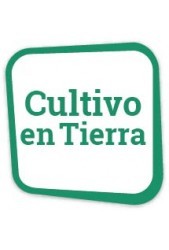 Comprar fertilizantes para cultivo en tierra Baratos ✓ Calidad Superior ®