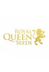 Comprar Royal Queen Feminizadas Baratas Online