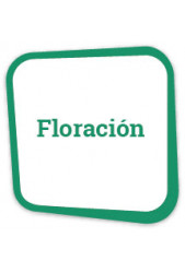 Comprar fertilizantes para floración a un precio irresistible