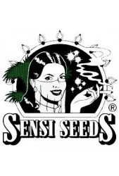 Comprar Semillas Sensi Seeds Baratas Feminizadas Online