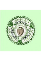 Soma Seeds ▷ Banco de semillas Feminizadas ◁ Baratas ✔