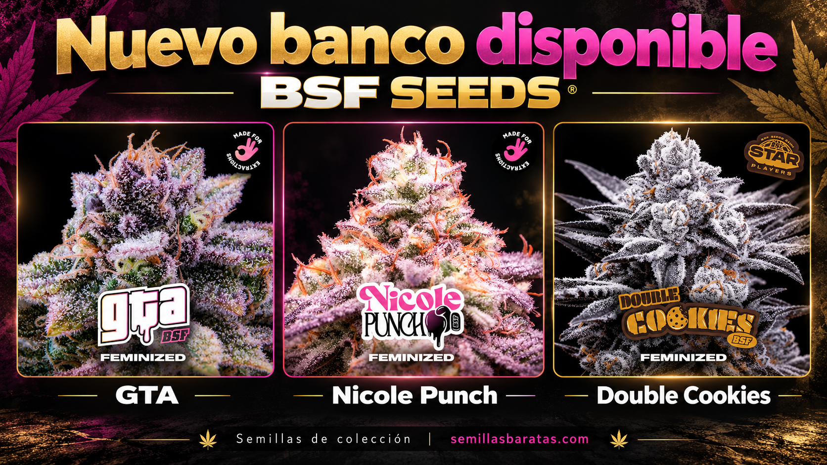 Nuevo banco disponible: BSF Seeds. GTA, Nicole Punch y Double Cookies.