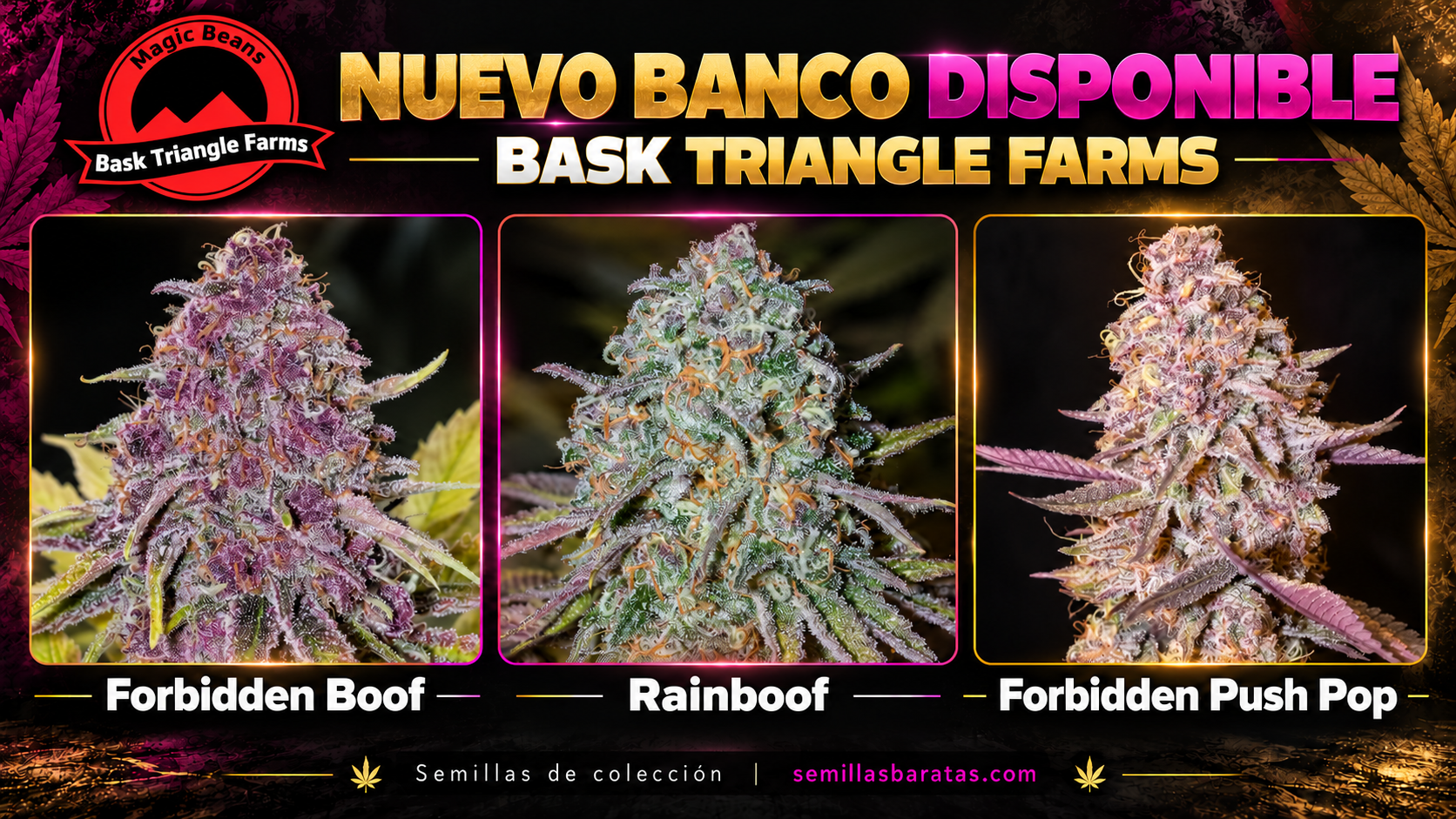 Nuevo banco disponible: Bask Triangle Farms. Forbidden Boof, Rainboof y Forbidden Push Pop, con el logo de la marca.