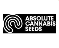 Absolute Cannabis Seeds