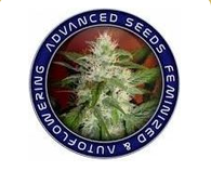 Advanced Seeds
