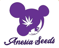 Anesia Seeds
