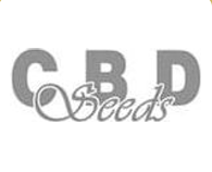 Cbd Seeds