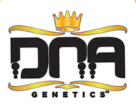DNA Genetics