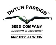 Dutch Passion