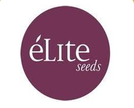 Élite Seeds