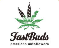 Fast Buds