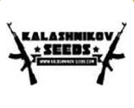 Kalashnikov Seeds