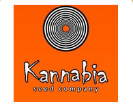 Kannabia Seeds