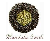 Mandala Seeds