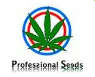 Professional Seeds