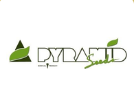 Pyramid Seeds