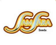 Samsara Seeds