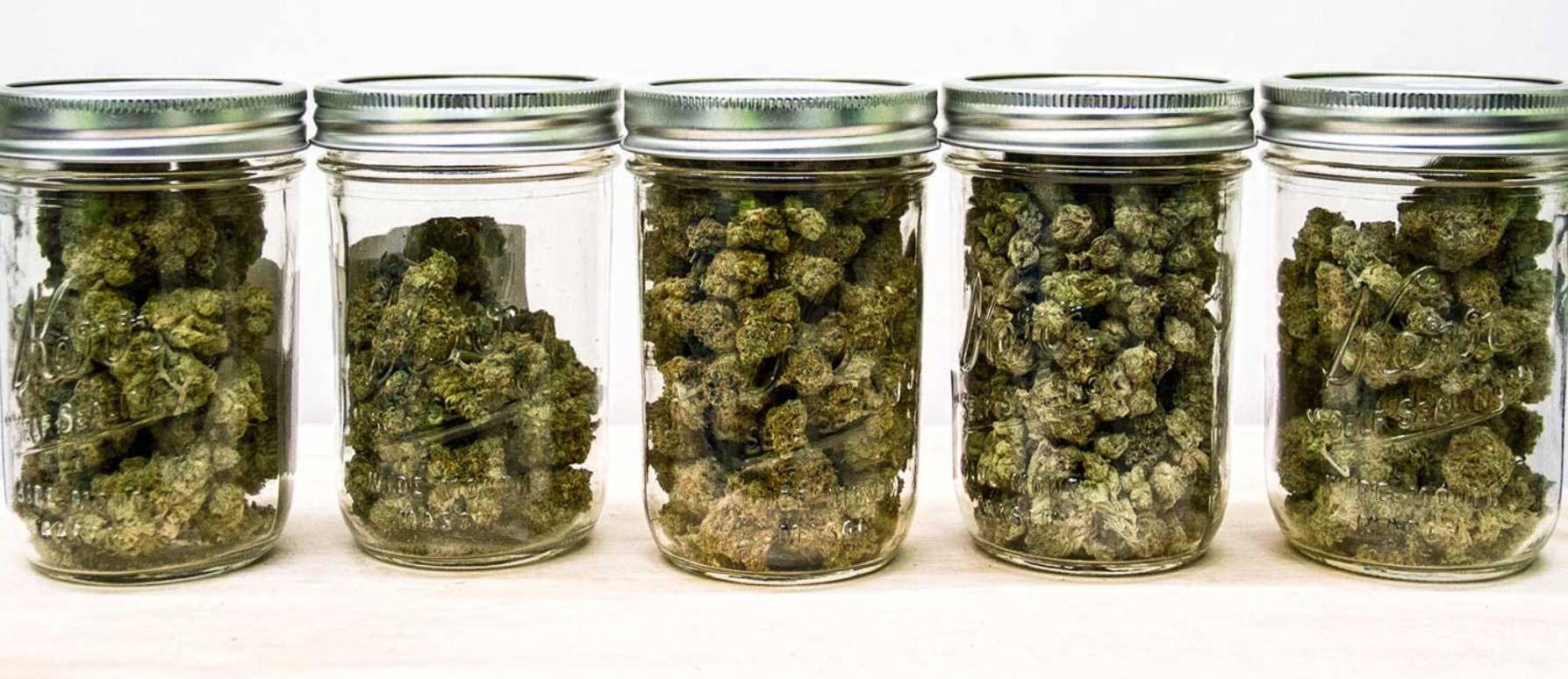 Cómo debes curar tu cosecha de marihuana
