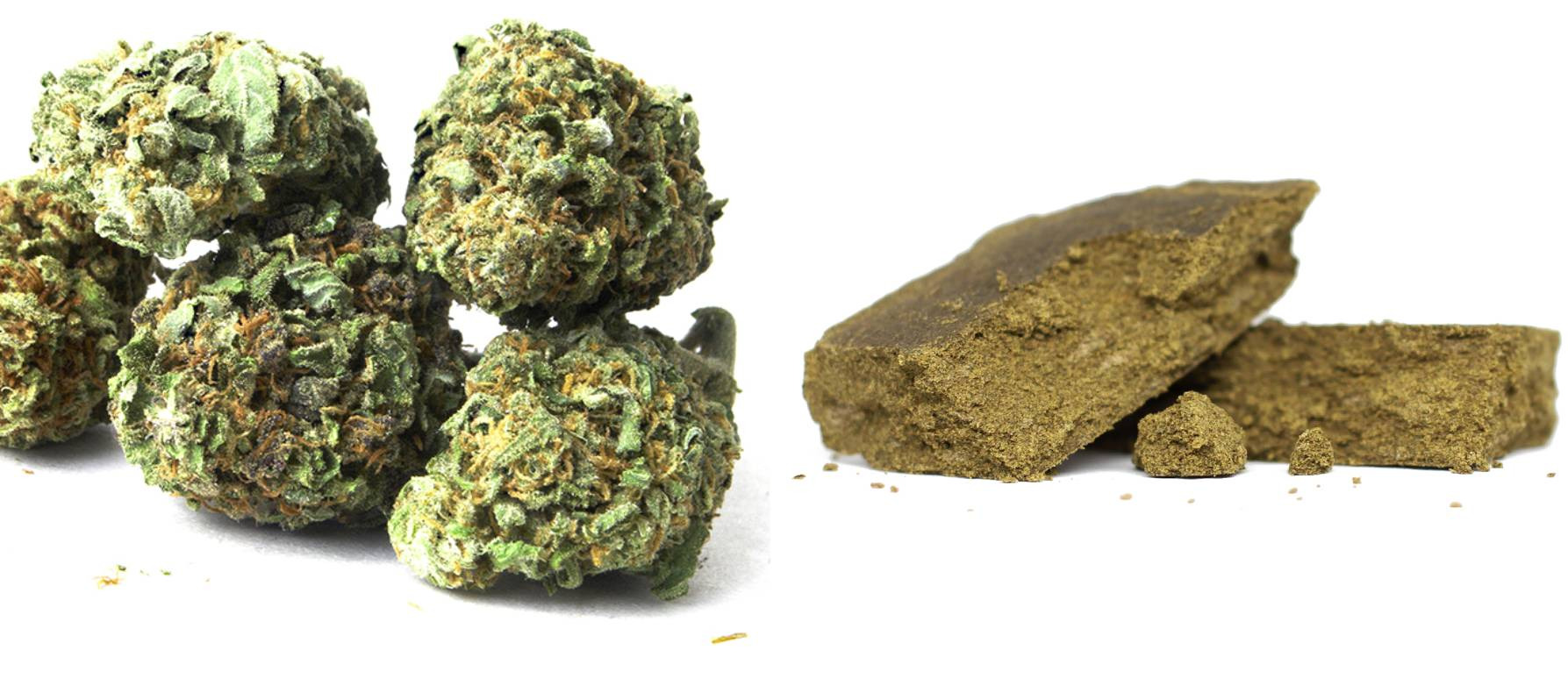 Qué diferencias hay entre la marihuana y el hachís