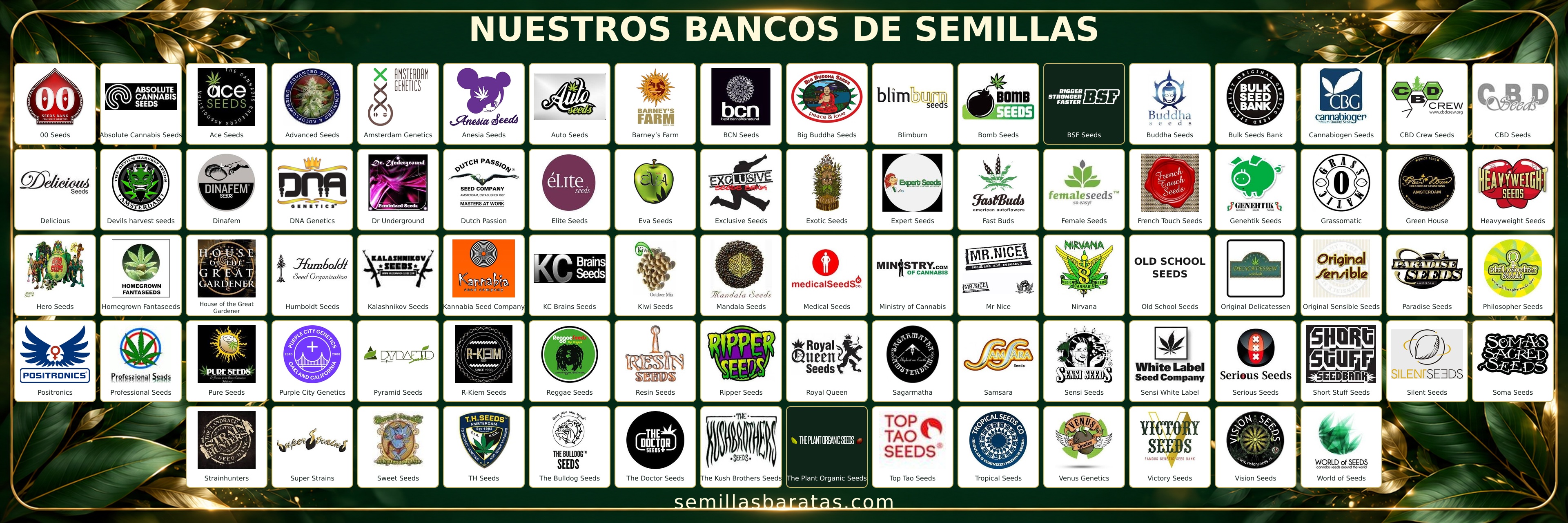 Bancos de semillas: descubre las marcas y accede a sus semillas